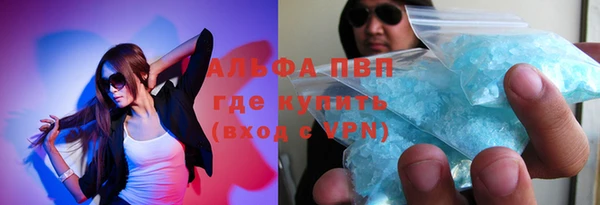 ПСИЛОЦИБИНОВЫЕ ГРИБЫ Кулебаки