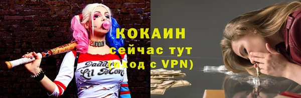 ПСИЛОЦИБИНОВЫЕ ГРИБЫ Кулебаки